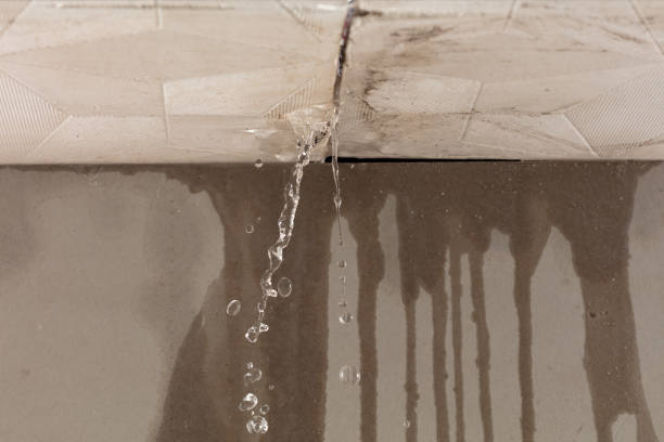 Professional Structural Drying technician working in Sunset, TX